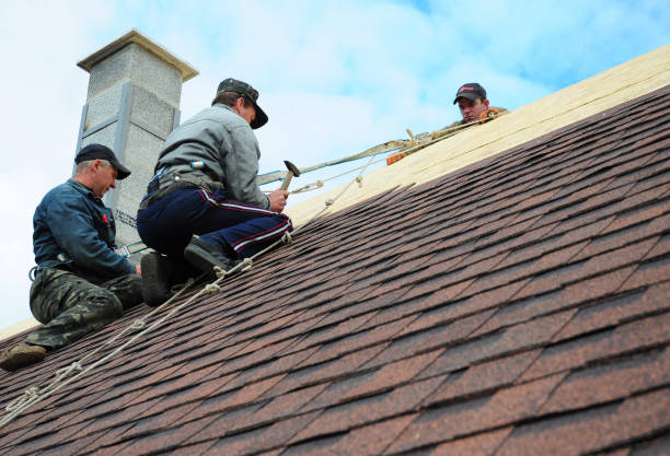 Trusted Plano, IL Roofing Contractor Experts
